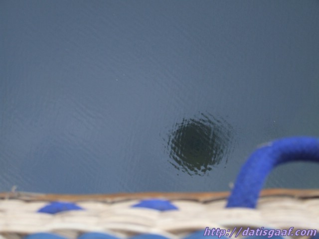 Copyright © DatisGaaf.com