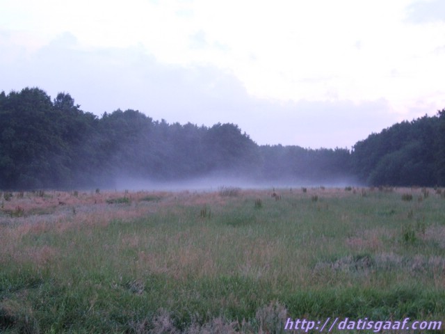 Copyright © DatisGaaf.com